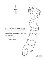 #3 Junction Mine Strip